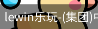 LEWIN乐玩